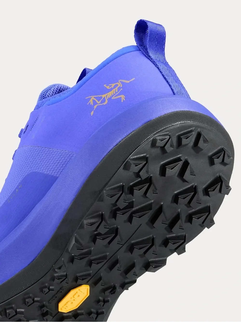 Arc'teryx women’s sylan GTX shoe-Electric Indigo/DK